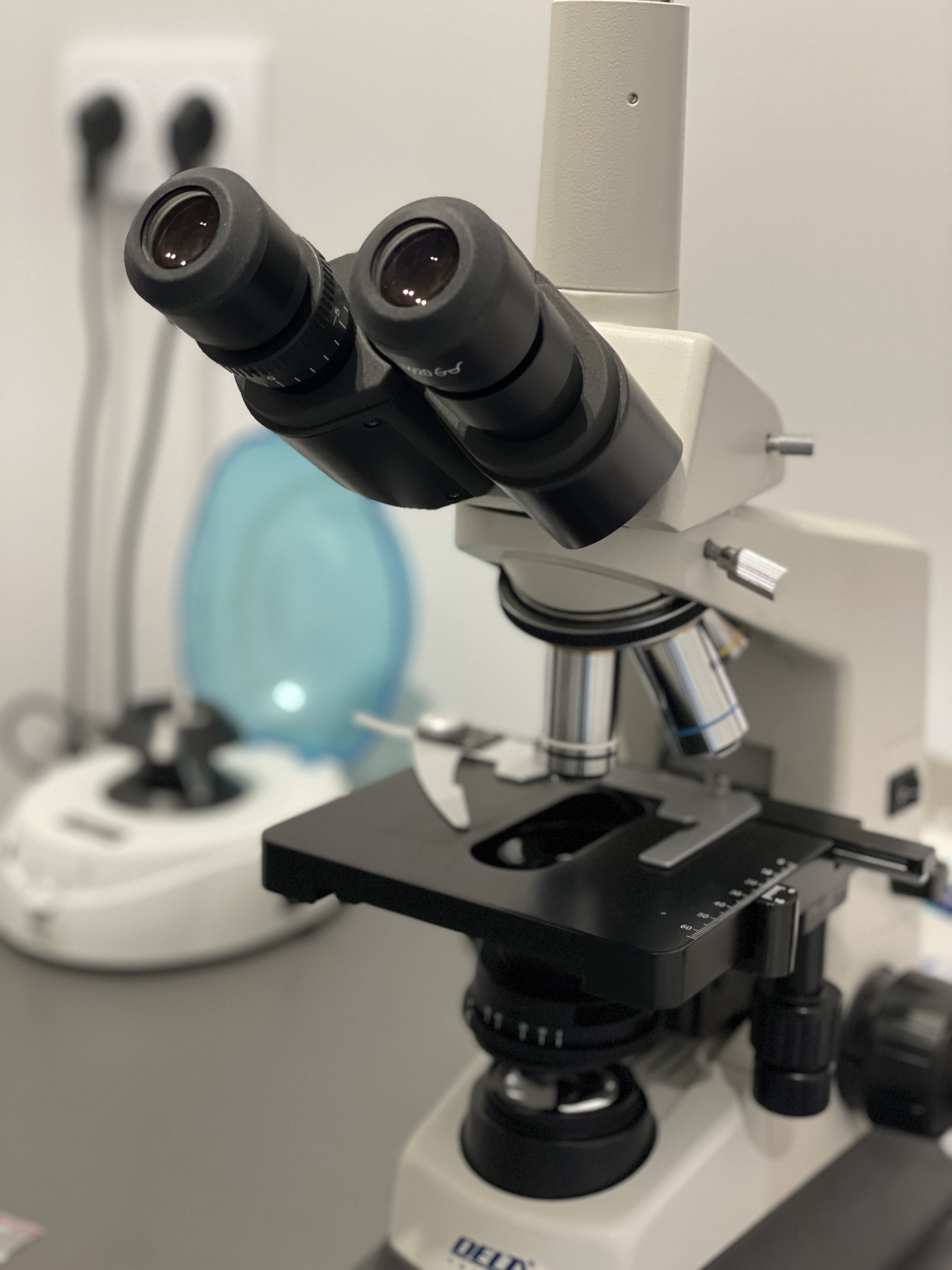 Konsultacja · dermatologia i endokrynologia