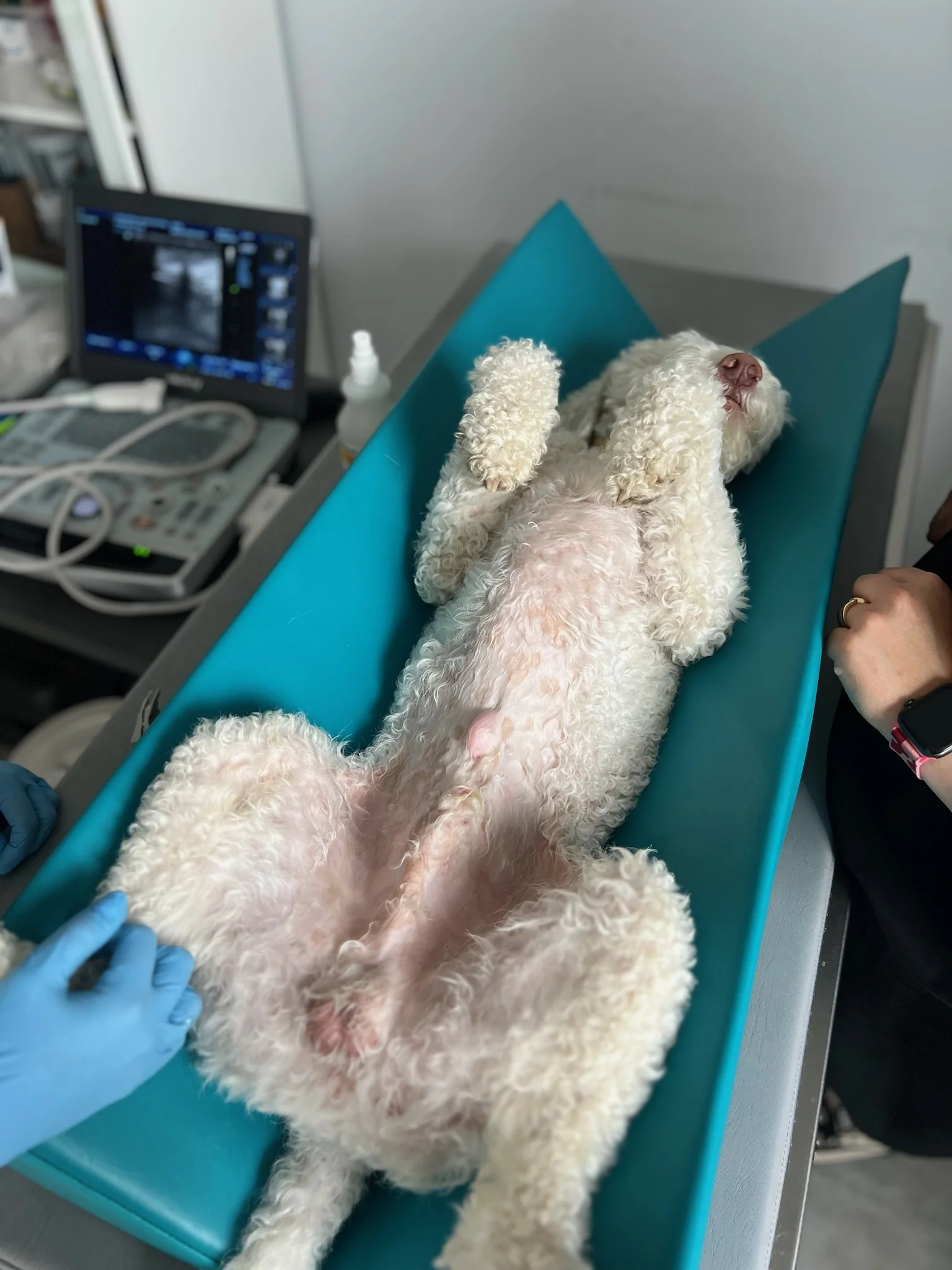 Konsultacja · diagnostyka obrazowa